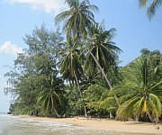 reiseapotheke_harmony_beach_koh_phangan